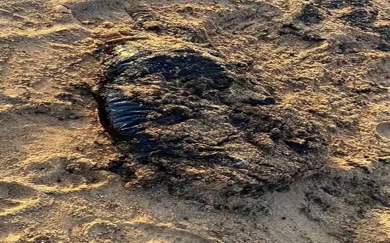 بالصور .. شواطئ العقبة ما زالت