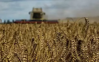 واشنطن: صادرات الحبوب الأوكرانية بصدد العودة