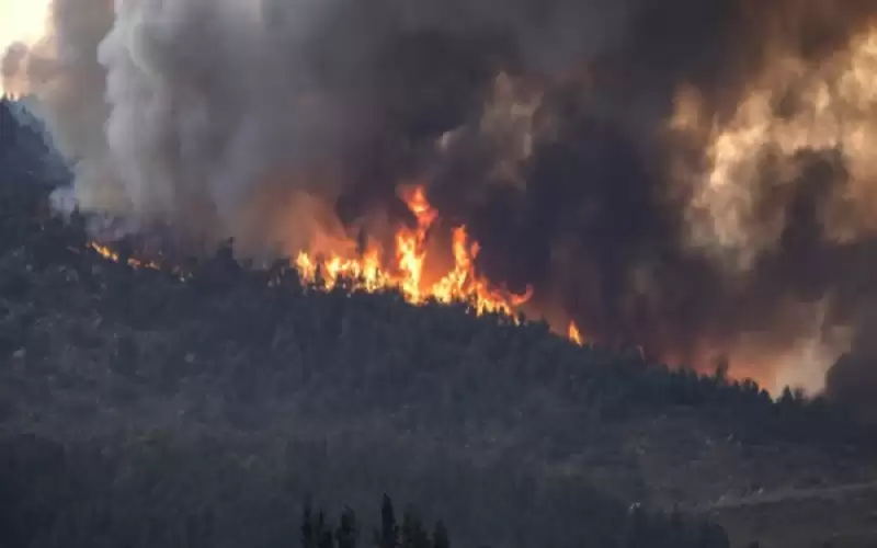 حرائق الغابات في المغرب .. تأثيرات