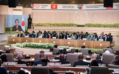 اليابان تتعهد بمساعدات بقيمة 30 مليار
