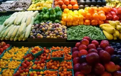 الزبن: موجة الحر سترفع أسعار الخضار