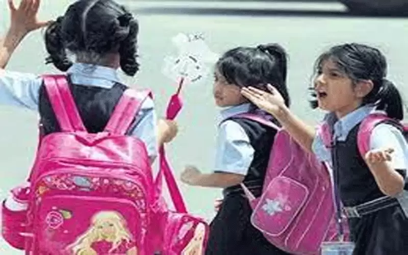 الحقيبة المدرسية .. .خيارت مهمة لراحة