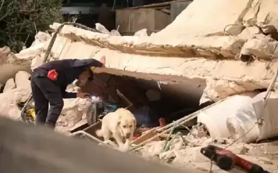 المدعي العام يوقف مالك عمارة اللويبدة