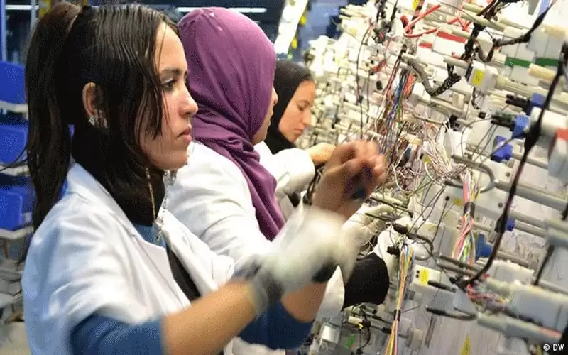 فجوة الأجور بين الذكور والإناث في