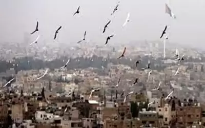 طقس معتدل اليوم