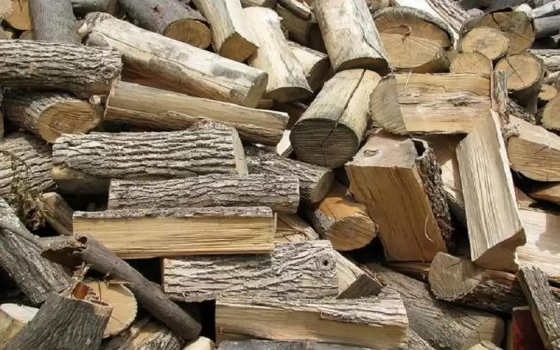 ضبط مركبة محملة بأحطاب حرجية بلواء