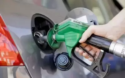 الشوبكي: انخفاض اكبر من المتوقع على