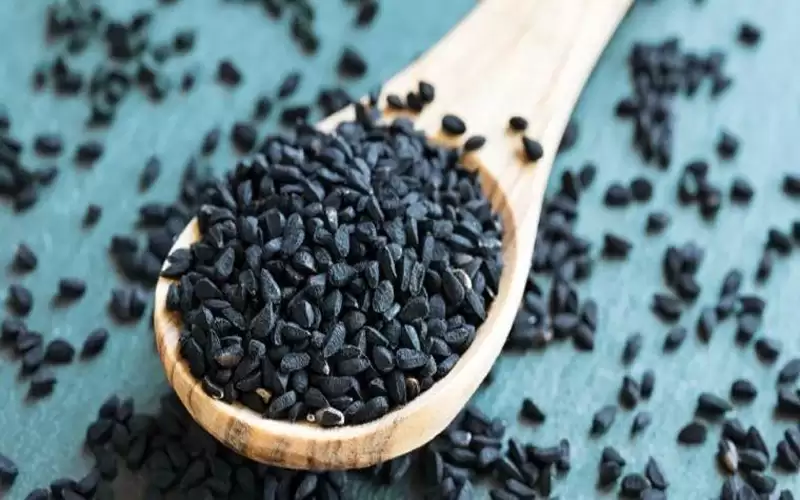 تناول حبة البركة على الريق وشاهد