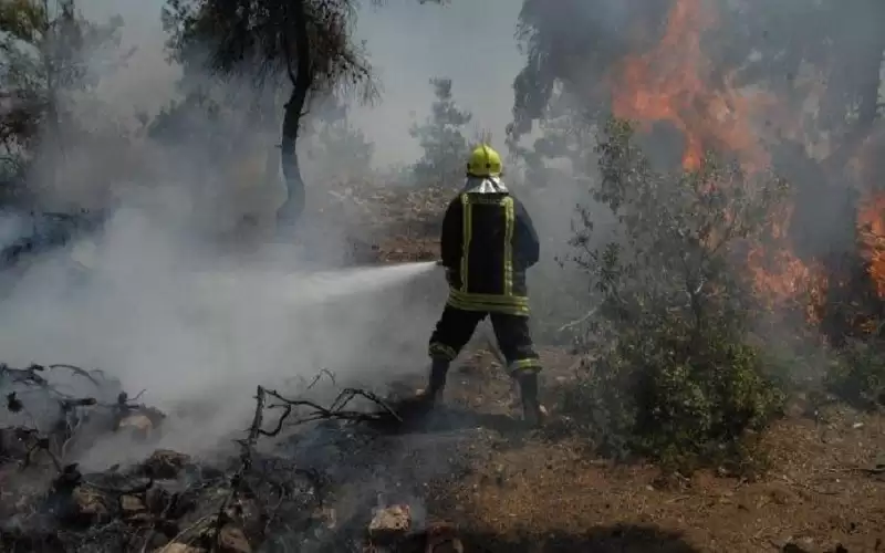 انخفاض بمعدل حرائق الغابات في عجلون