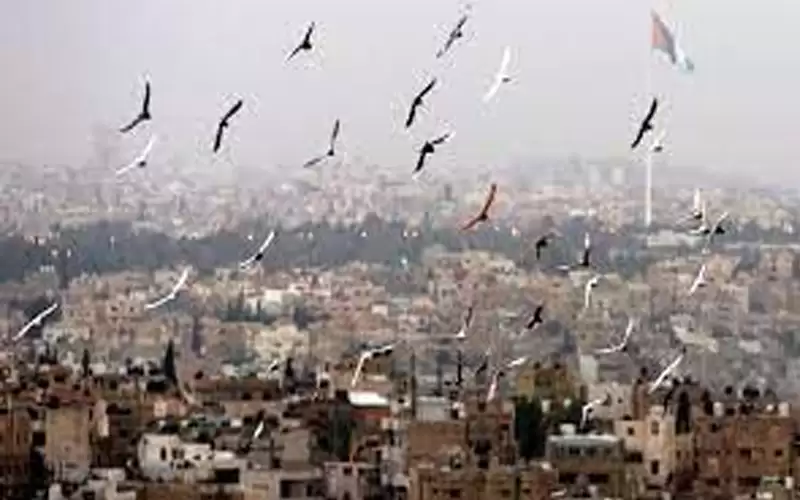 أجواء حارة نسبيا في أغلب مناطق