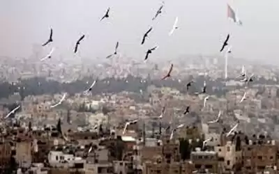 أجواء حارة نسبيا في أغلب مناطق