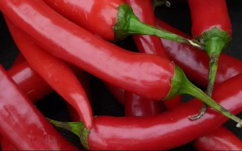 الفلفل الأحمر.. فوائد صحية عظيمة لا
