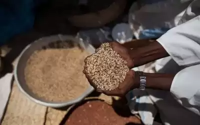 141 مليون عربي معرضون لانعدام الأمن