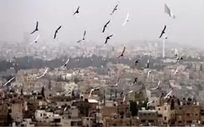 أجواء خريفية لطيفة في أغلب المناطق