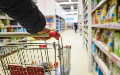 حمادة: انخفاض الغذاء عالميا سينعكس على