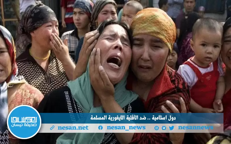 دول إسلامية تفشل قرارا ينصف الأقلية