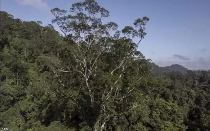 بعد البحث عنها 3 سنوات ..