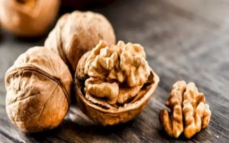 ما هي فوائد عين الجمل؟