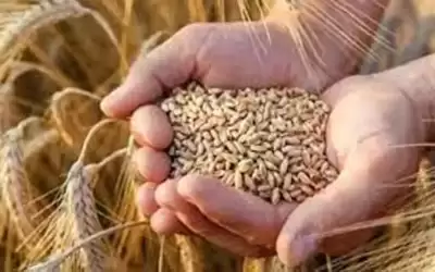 170 مليون دولار من صندوق أوبك