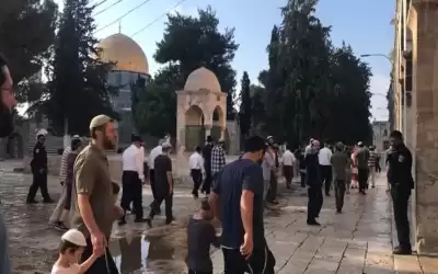 عشرات المستوطنين يقتحمون الأقصى