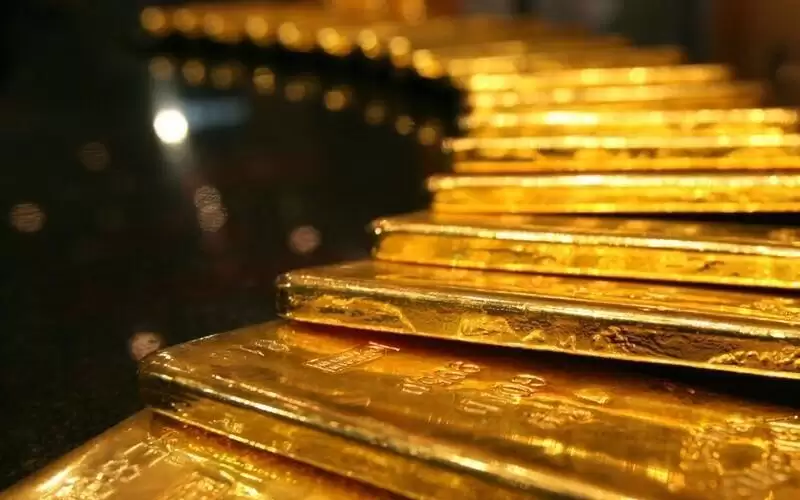 عثرا على كنز بالصدفة.. عملات ذهبية