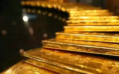 عثرا على كنز بالصدفة.. عملات ذهبية