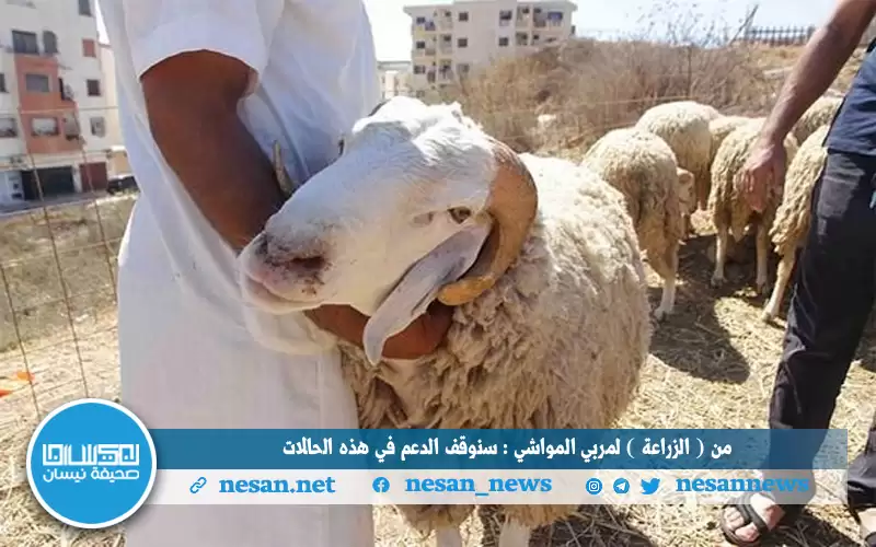 من (الزراعة) لمربي المواشي : سنوقف