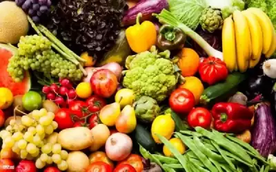 ارتفع نسبة صادرات الأردن الزراعية إلى