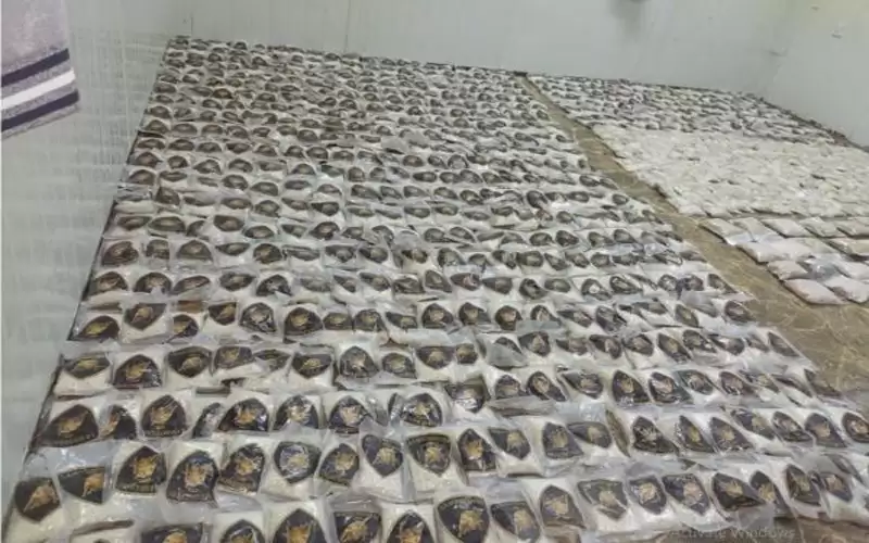 إصابة مهرب وفرار آخرين حاولوا اجتياز