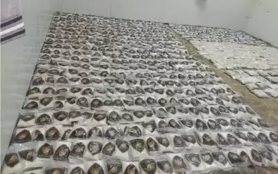 إصابة مهرب وفرار آخرين حاولوا اجتياز