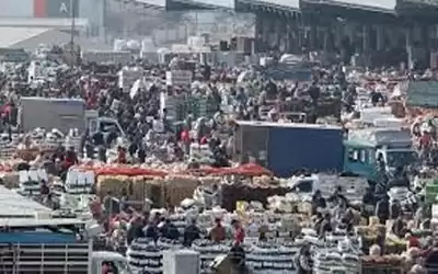 أسعار الخضار بالسوق المركزي
