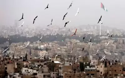 أجواء خريفية لطيفة في أغلب المناطق