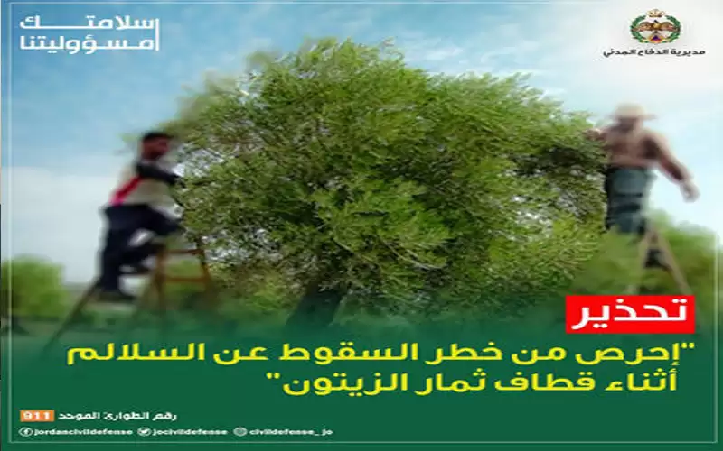 نصائح من الدفاع المدني لقاطفي الزيتون