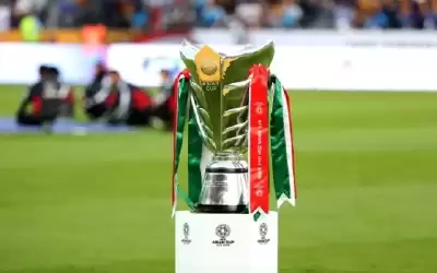 قطر تفوز بشرف استضافة نهائيات كأس