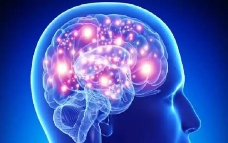 طرق للحفاظ على صحة الدماغ