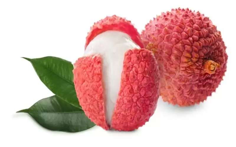 فوائد واضرار فاكهة ليتشي