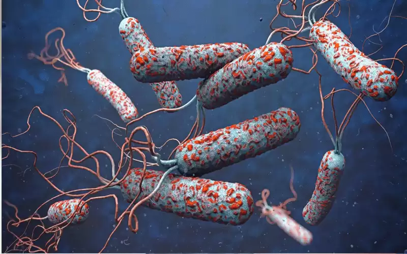 هل الأردن على موعد مع الكوليرا؟