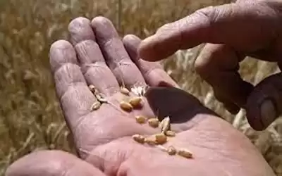 أنقرة: موسكو لم ترسل ردا حول
