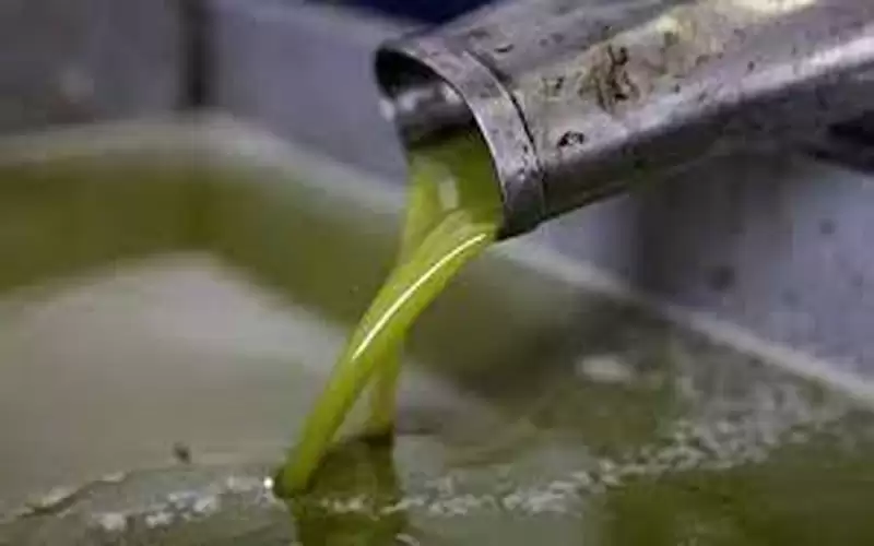 الأردن يوقف إدخال زيت الزيتون من