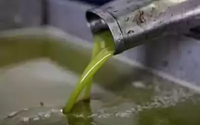 الأردن يوقف إدخال زيت الزيتون من