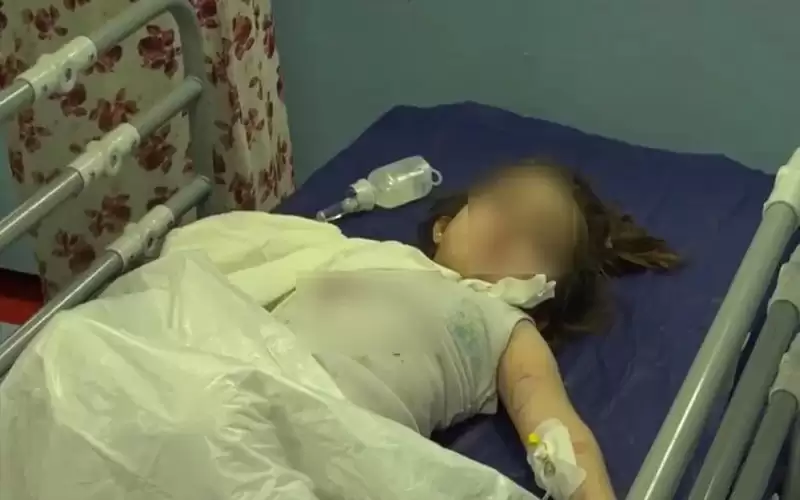 دب ينهش ذراع طفلة في حديقة