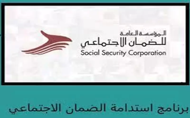 ماذا بعد برنامج (استدامة)؟