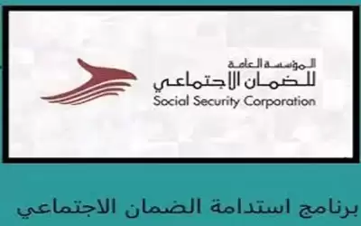ماذا بعد برنامج (استدامة)؟
