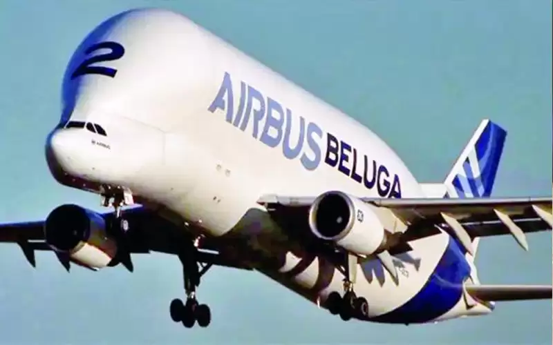 طائرة الحوت تحلق مجددا بعد توقف