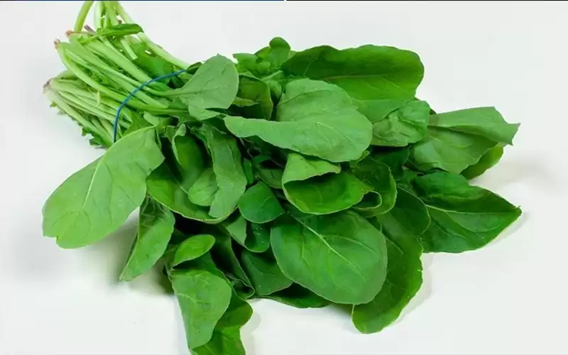 الجرجير.. صيدلية متكاملة بين يديك