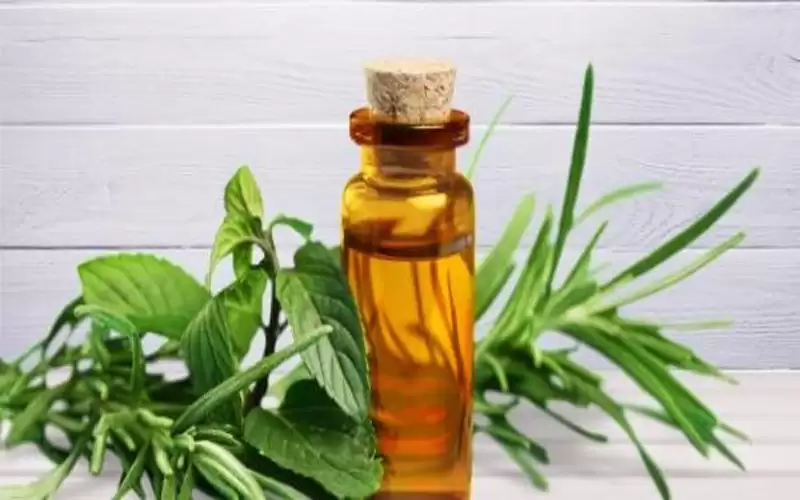 أفضل زيت مغذي للشعر