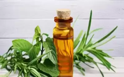 أفضل زيت مغذي للشعر