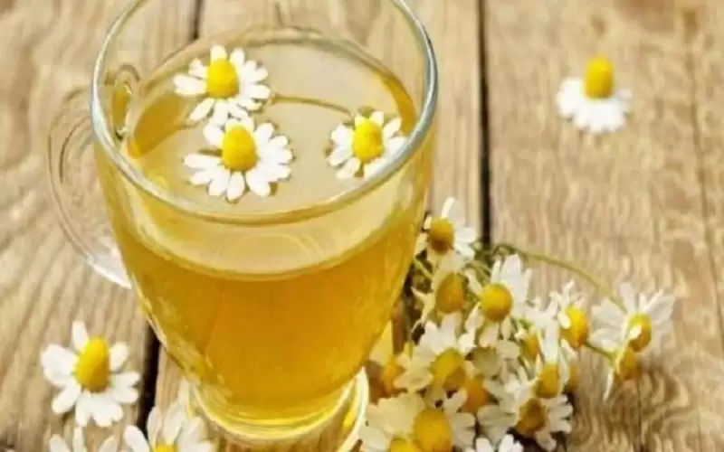 كوب واحد من شاي البابونج يوميا..