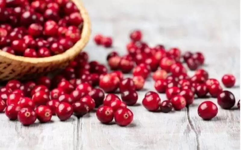 نصائح غذائية تساعدك في استجابات علاج