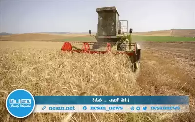 الخسائر في الكرك السبب في العزوف